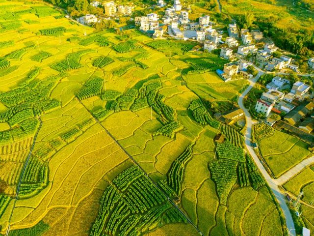 財(cái)政部：繼續(xù)支持國(guó)家級(jí)田園綜合體建設(shè)試點(diǎn)，這13個(gè)省份各安排1個(gè)試點(diǎn)項(xiàng)目