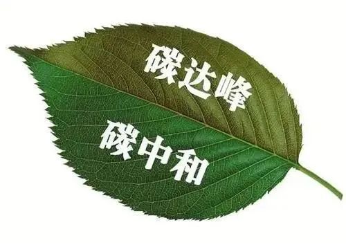 安徽宣城探索低碳社會(huì)發(fā)展路徑，廣東建成22條觀鳥(niǎo)特色自然教育路徑