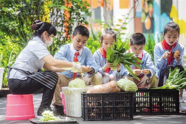 重慶市人民小學(xué)勞育特色：城鄉(xiāng)學(xué)校勞動(dòng)大聯(lián)盟，“勞動(dòng)萌主”微信小程序