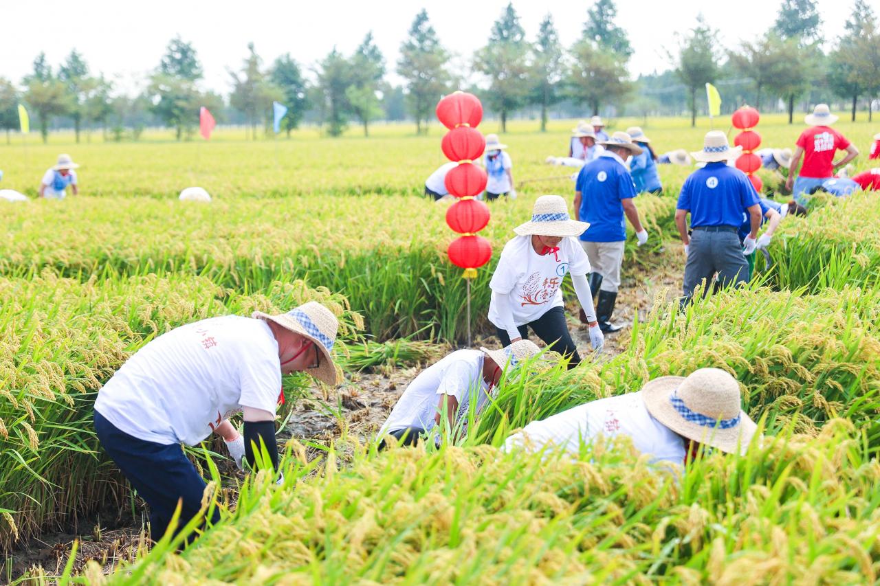 農(nóng)業(yè)農(nóng)村法治課程上線，上海市第二屆農(nóng)民體育健身活動(dòng)落幕