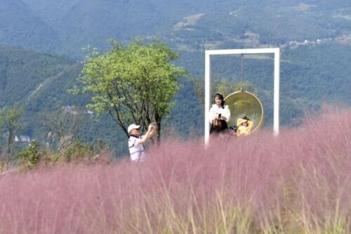 我國部分“農家樂”變“農家愁”，住建部重申要加大民宿農家樂監(jiān)管力度