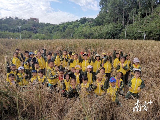 幼兒園勞動競賽活動方案：環(huán)保小衛(wèi)士，我是勞動小明星 width=