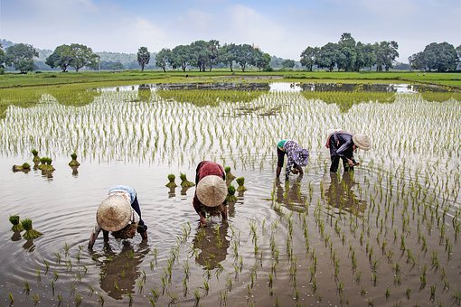 南陵縣：完成150個美麗宜居村莊建設(shè)，59%村集體收入達(dá)50萬元以上