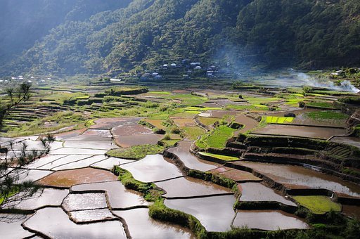 寧波舉辦文旅融合非遺進景區(qū)活動，河北鄉(xiāng)村振興借力非遺工坊