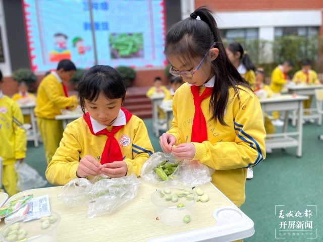 校園食品安全監(jiān)管：這所中學食堂成了他們的“搖錢樹”