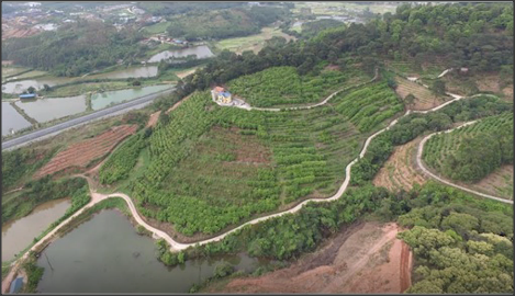 四川雅安雨城區(qū)力推林竹經(jīng)濟，湖南祁陽市建成4個水肥一體化項目