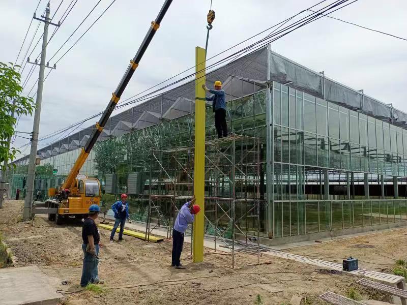 在建之中的農(nóng)科示范基地：雅安雨城區(qū)數(shù)字農(nóng)業(yè)與揚(yáng)州江都區(qū)現(xiàn)代農(nóng)業(yè)產(chǎn)業(yè)園 