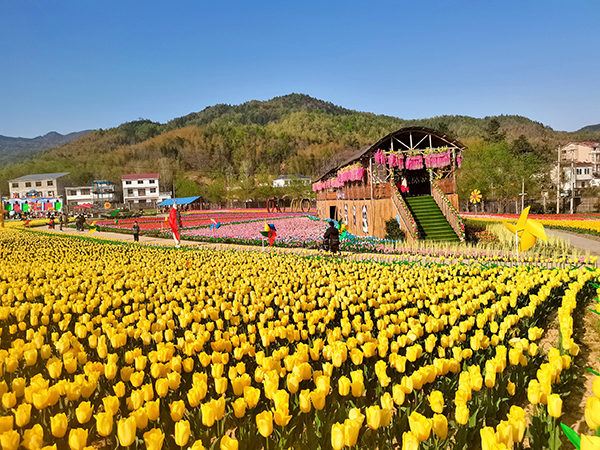 福建選培鄉(xiāng)村文化旅游帶頭人，湖南啟幕冬季鄉(xiāng)村文化旅游節(jié)