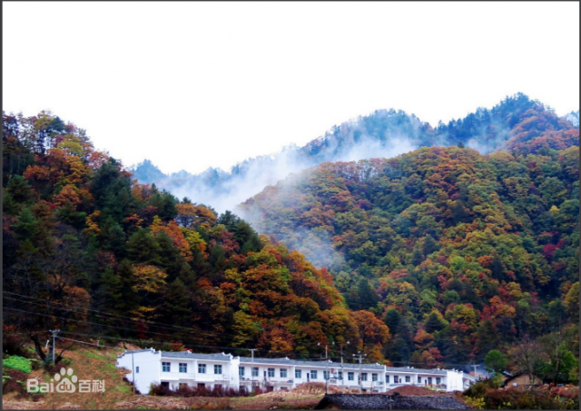 廣東建成148個自然教育場館，海寧揭牌首個司法生態(tài)修復基地